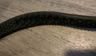 Rubber Reins  Full Black  Leather Horse  