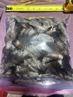 Wild Turkey Body Feathers One Gallon Bag  Feather Art Crafts Taxidermy