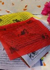 25 Flags Of Tibetan Windhorse Printed Buddhist Prayer Flag Polyester Pflx25s