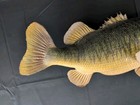 Vintage Taxidermy Largemouth Bass 24    Long Wall Mount
