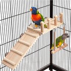 Bird Perches Platform Swing With Climbing Ladder  Parakeet Cage Accessories 