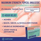 Welmate Pain Relief Lidocaine 4  Patch   30 Ct Exp 6 27  compare To Salonpas 