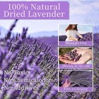 Dried Lavender Flowers Bundles Natural Dry Lavender Flowers 440-480 Stems 16    