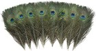 24 Pcs Real Natural Peacock Eye Feathers 10-12 Inch For Diy Craft  Wedding And H