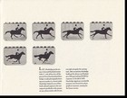 The Farm  fourth In A Series Published By University National Bank   Trust Com  