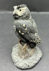 Cold Bronze Cast Statue Screech Owl Charles Earnhardt 3  Wildlife Collection