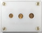 Bu California Souvenir Gold Tokens In Custom Holder