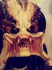 Sideshow    predator    Life-size Bust    artist Proof    1 1 Not Prime 1