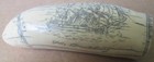 Resin Reproduction Brandenburg Scrimshaw Sperm Whale Tooth 5   Yellowing