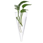 Circular Glass Wall Hanging Vase Bottle For Plant Flower Decor Clear