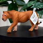 Lioness Animal Figure - Hand Painted   Collectible Safari Toy - Papo 50028
