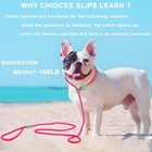 Dog Training Leash Slip Leads For Dogs 6 Ft Slip Leash For Dogs Dog Lead With 6