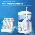 Replacement Tips For Waterpik Water Flosser  6 Brush Head Tips   Storage Case