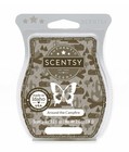 Scentsy Wax Bars Around The Campfire   Discontinued 2 Pack  New Ships W  Icepack