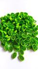 X500 Paper Quilling Leaves Made Using A Comb handmade Greetings Cards
