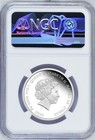 2022 Proof Silver Lunar Year Of The Tiger Baby Ngc Pf 70 1 2oz Coin 1st Releases
