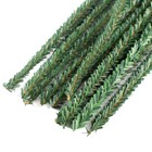 Bulk Buy Of 144 Artificial Canadian Pine 12  X 12 Mm Pipe Cleaners
