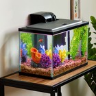 5 Gallon Aquarium Starter Kit With Blue And White Led Lighting For Fish Tank