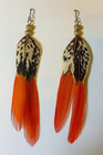 Feather Earrings     5 Inch Long Pheasant Orange Tip  Handmade Festival Earrings 