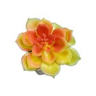 Faux Succulent Artificial Succulent Cactus Fake Cacti Plants Yellow orange 