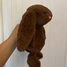 Jellycat Bunny Chocolate Brown Plush Stuffed Animal Medium Rare Retired