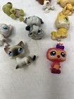 Littlest Pet Shop Lot Of 14   Accessories Authentic Animals