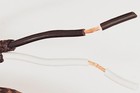 Twisted Rayon Cloth Covered Electric Lamp Cord With Polarized End Plug  Strip