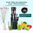 Cold Press Juicer Machine Slow Masticating 76mm Feed Chute Vegetable Fruit 200w