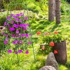 Cucumber Trellis Garden Trellis Arch Trellis  Tall Trellis For Climbing Plants S