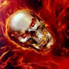 Hell Skulls On Fire Water Transfer Hydrographic Film Activator Hydro Dip Combo
