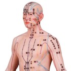 Acupuncture Model 21 65  Human Acupoint Silicone Doll Chinese Medicine Learning