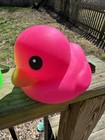 Viral Squishy Neon Pink green Ducks Sunny Days Jumbo Squishy Authentic Lot         