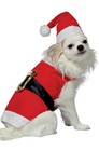 Santa Christma Dog Pet Costume