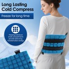 1 2x Cold Pack For Knee Leg Neck Shoulder Hip Ice Wrap For Back Muscle Fatigue