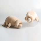 25cm Cute Tardigrade Plush Toy Water Bear Stuffed Animal Educational Gift