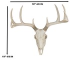 Ebros 18  l 10 Point Buck Head Wall Mount Resin Stag Deer Skull Antler Sculpture
