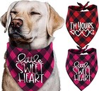 Pack Of 2 Dog Bandana Valentines Day - Reversible Buffalo Plaid Triangle Webbed