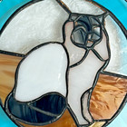 Cat Suncatcher 6 5  Circular Stained Glass Art Decor