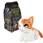 Warrior Cats Large Mystery Plush  Series 1  Book Series  11 Inches  Blind Bag