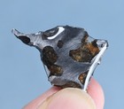 Pallasite Meteorite Specimen natural Sericho Meteorite Slice  Kenya J06