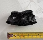 Civil War Artillery Shell Fragment Vicksburg 
