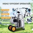 25l Electric Cow Milking Machine Milking Equipment 304 Stainless Steel Bucket Us