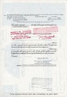 Seatrain Lines  Inc  Stock Certificate 100 Shares New Design 1970 s