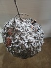 Bald Face Hornet   s Nest  11   x20    Beautiful Shape excellent Condition 2025 Nest