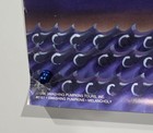 Vtg Smashing Pumpkins 1996 Poster Tonight Mellon Collie Infinite Sadness Funky