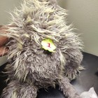 Large 27-inch Plush Hand Puppet - Artie The Coyote For Kids