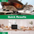 12 Pack Vamoose Natural Rodent Pest Control Repellent Pouch Peppermint Oil