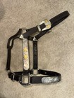 Vintage Dark Oil Leather Halter With Silver And Gold Overlay- Full Size Horse