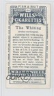 1910 Wills Cigarettes Fish   Bait Tobacco The Whiting  44 0pl9