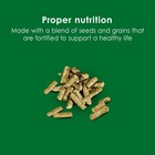 Kaytee Forti Diet Rabbit Food 5 Pounds